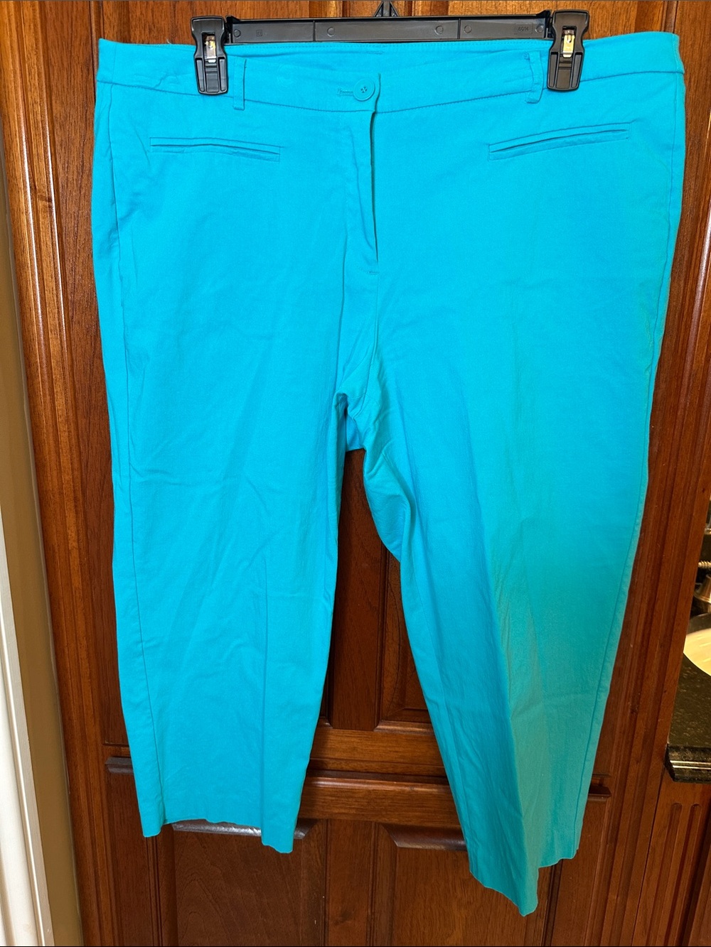 Lane Bryant Turquoise Cropped Pants